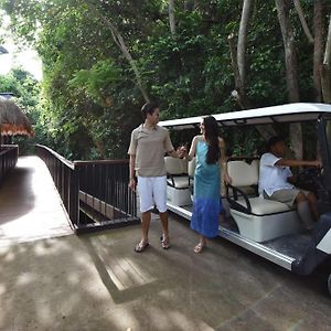 Canopy Villa Roundtrip Lio Airport Transfers